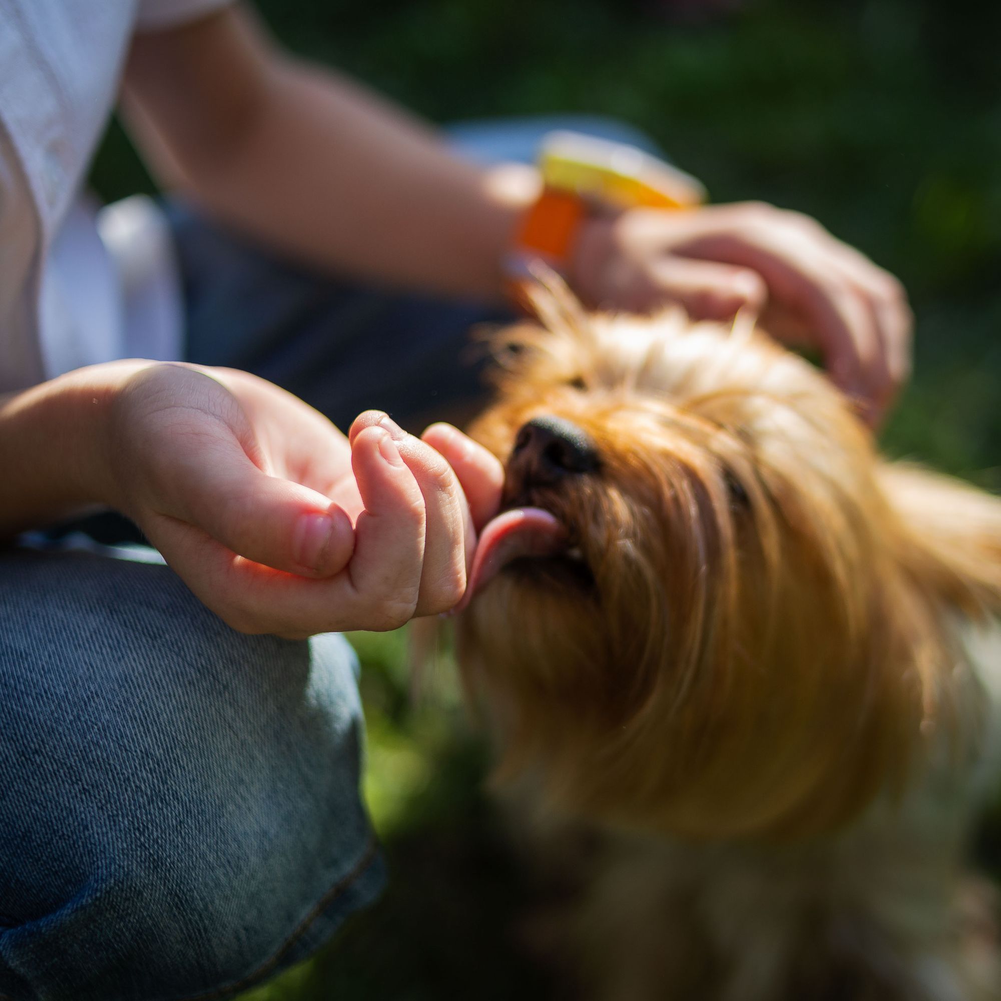 Meetings with Old Friends