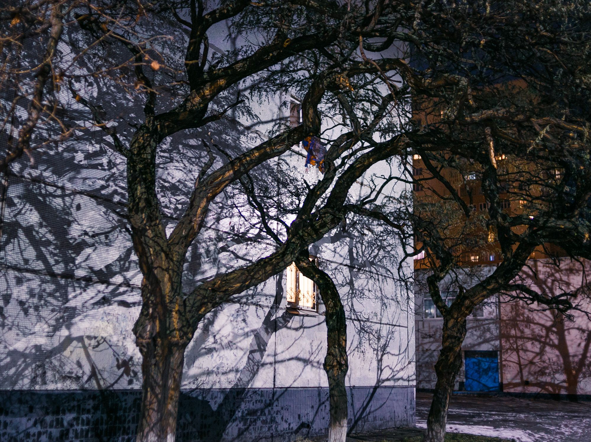 Shadows with Stories