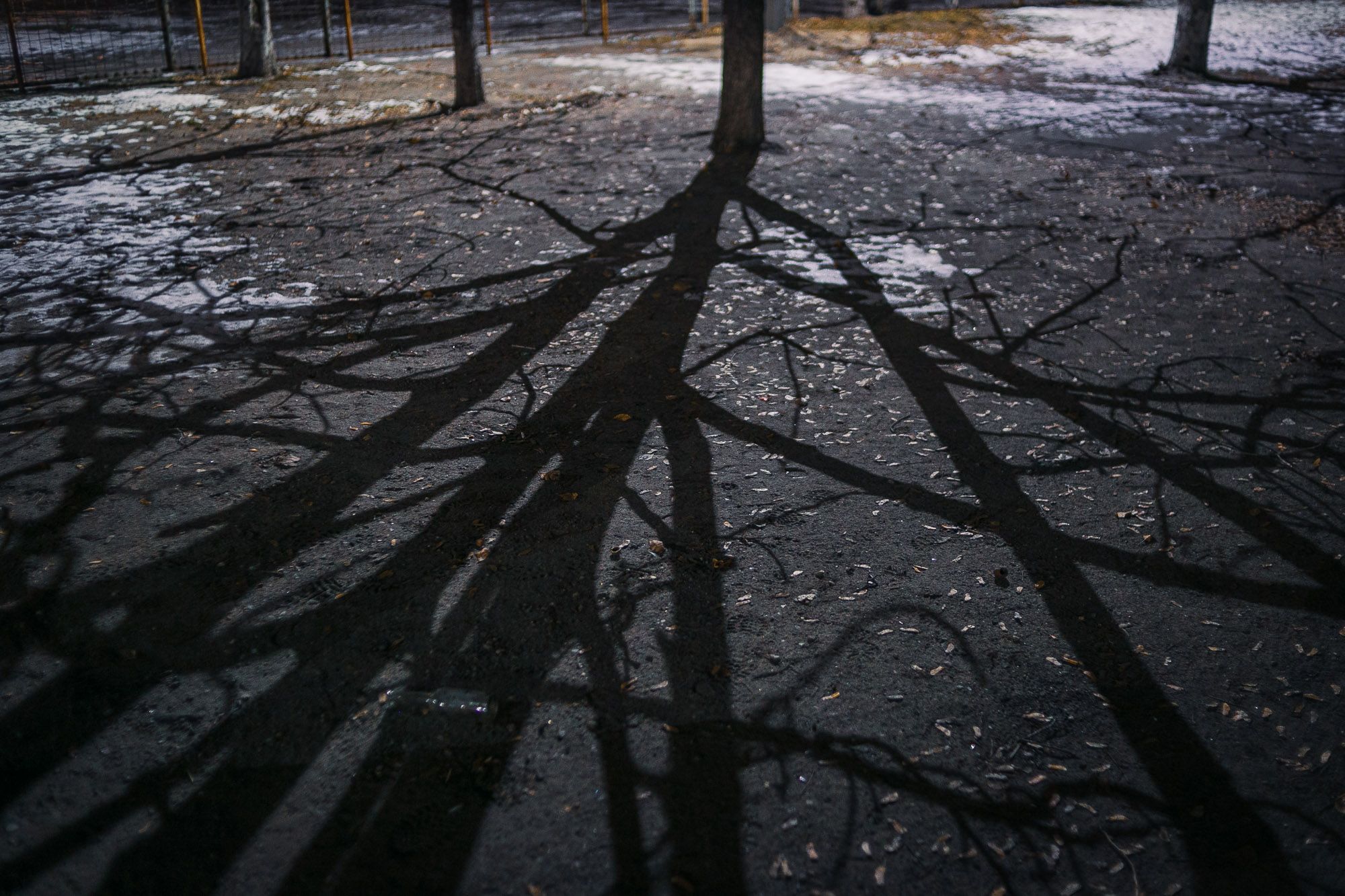 Look for Something in the Shadows