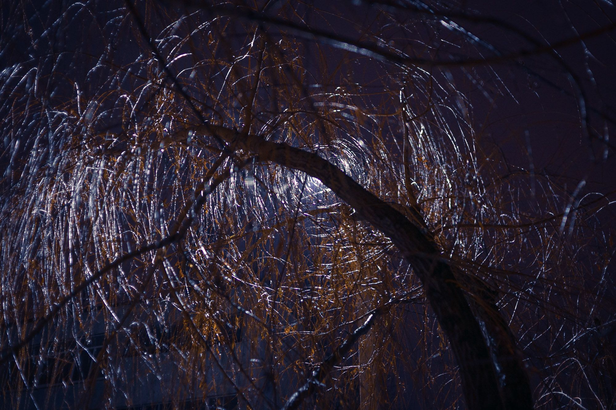 There is still a Whole Night Ahead