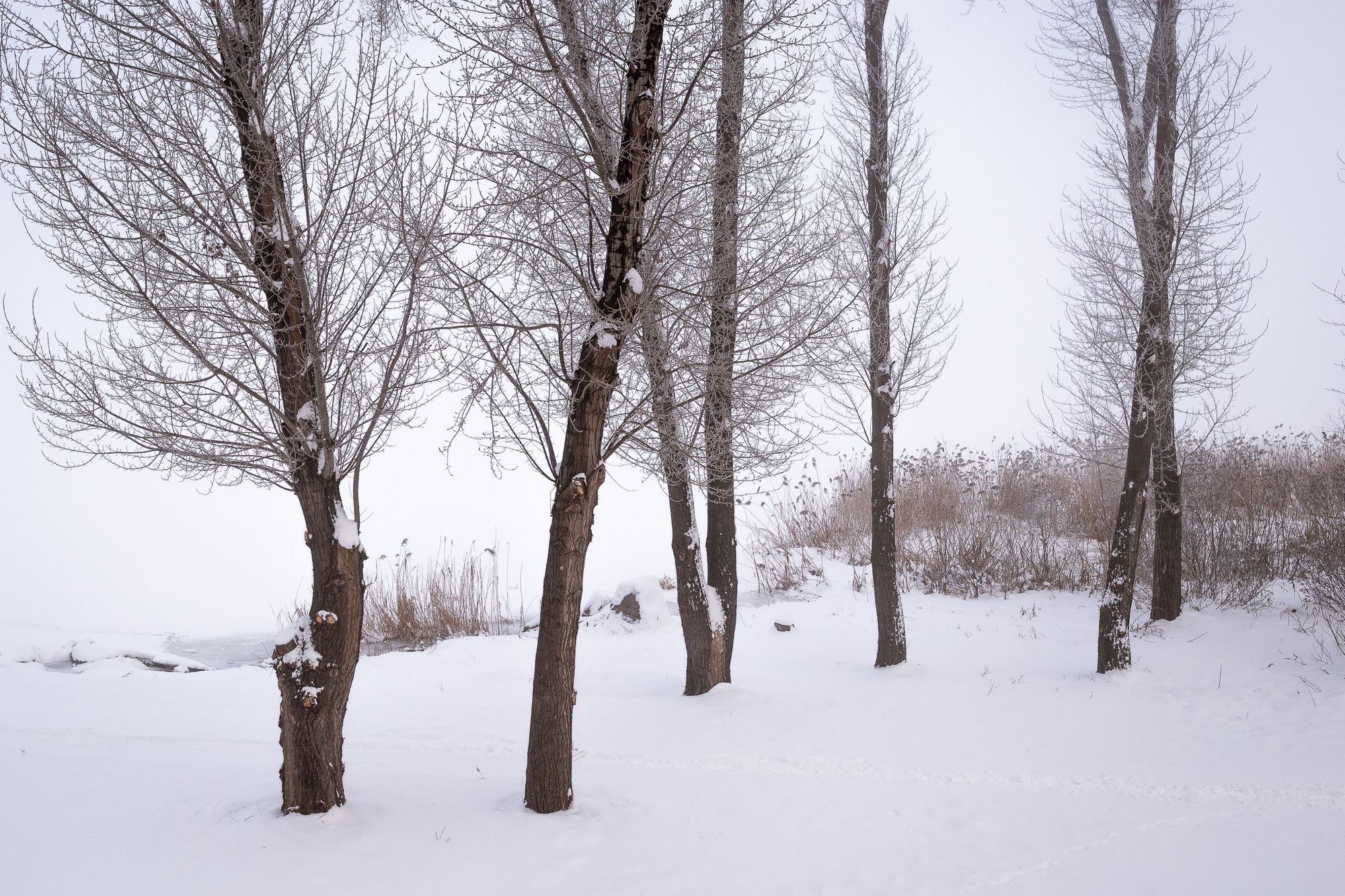 They are still sleeping, but the moment of awakening is soon.