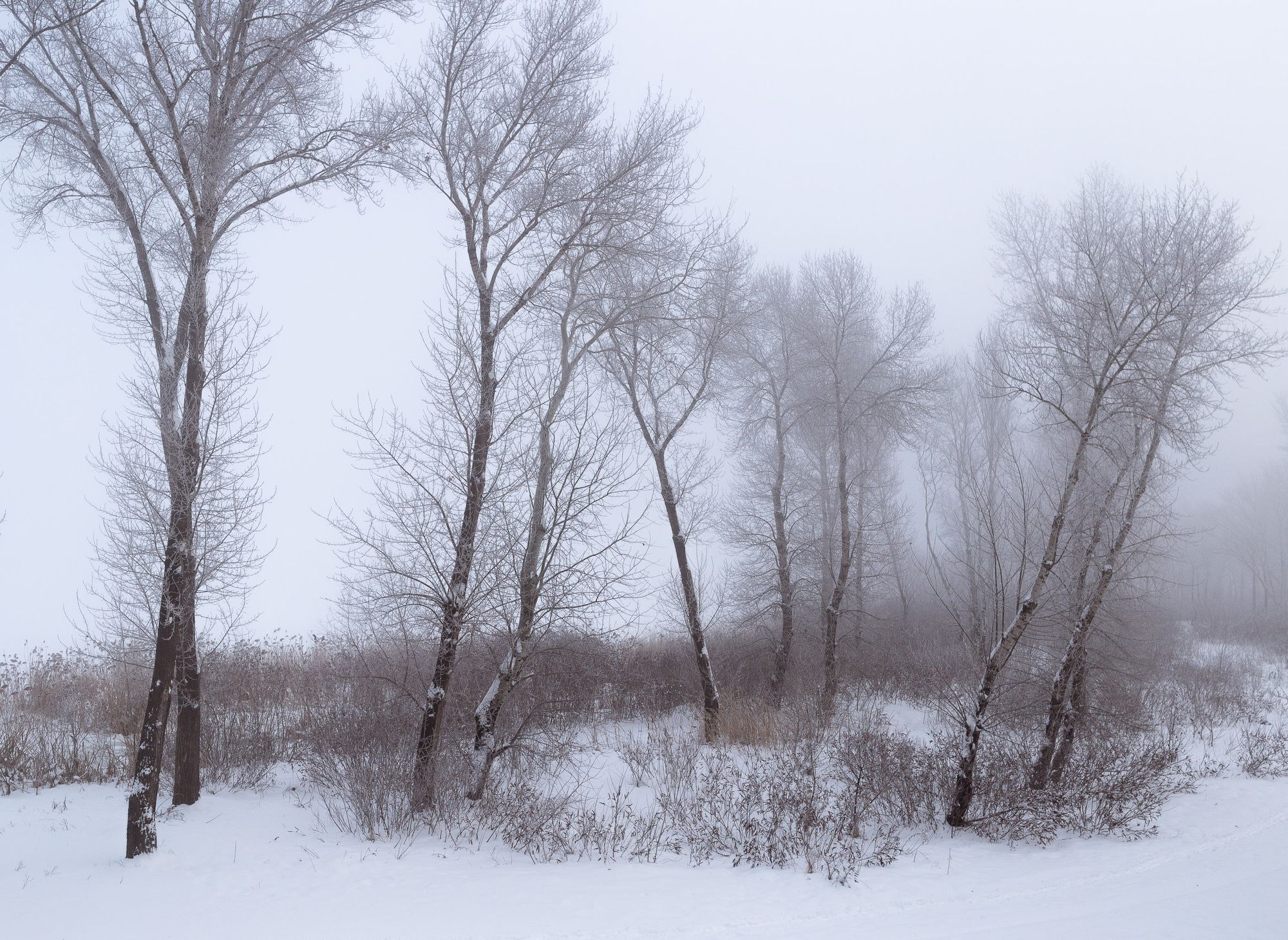 November silence stood until February.