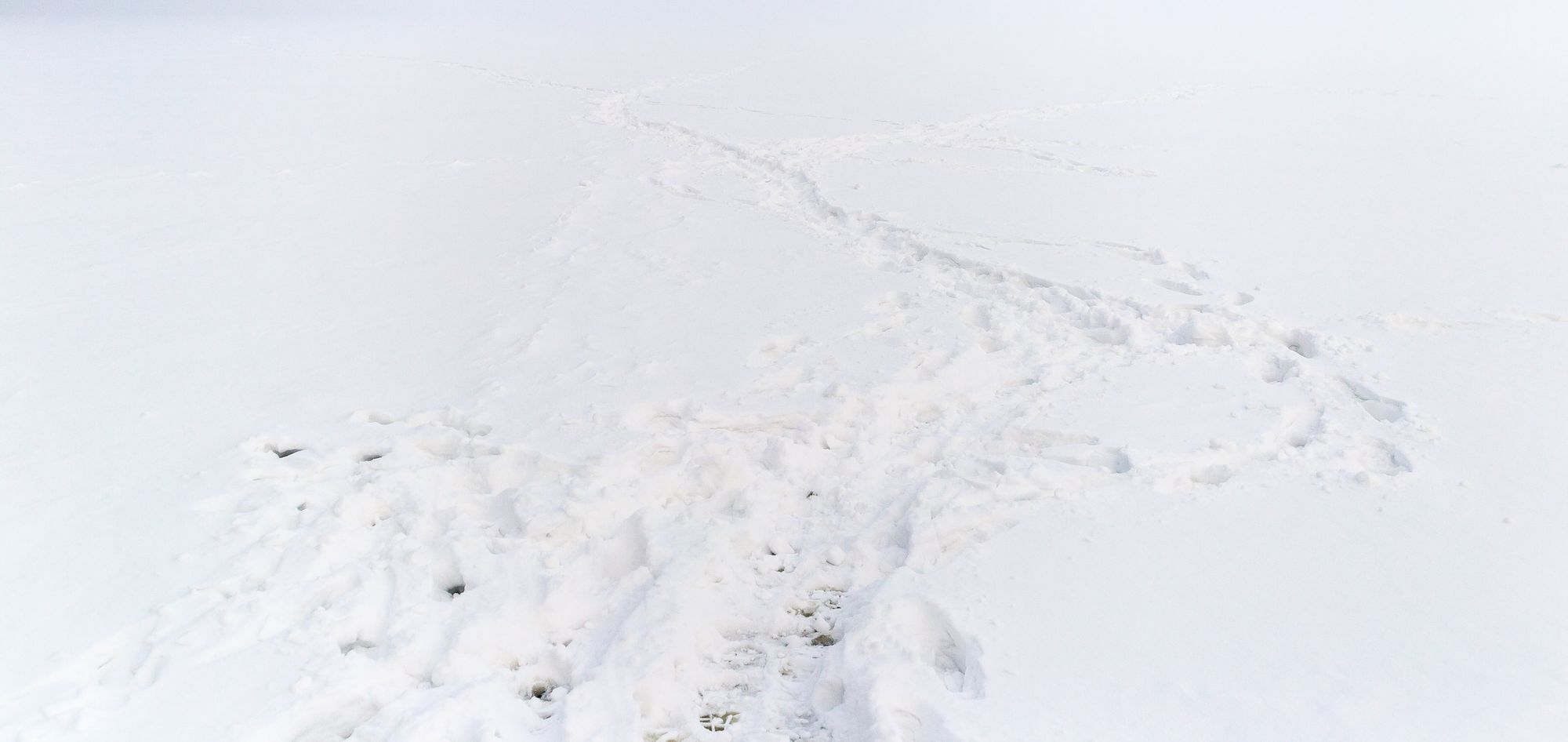 And someone went into this deep blue.