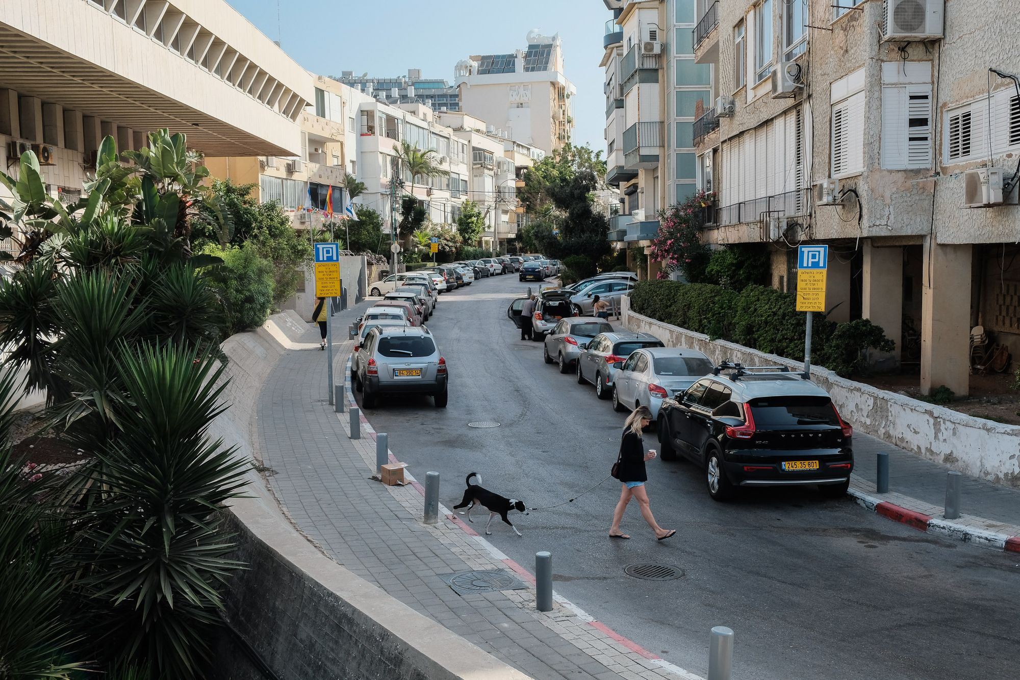 And the city is pretty inside.